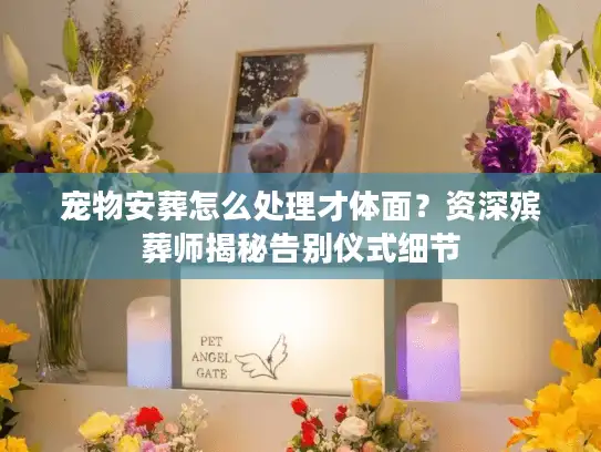 宠物安葬怎么处理才体面？资深殡葬师揭秘告别仪式细节