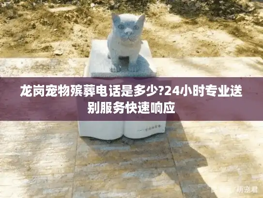 龙岗宠物殡葬电话是多少?24小时专业送别服务快速响应