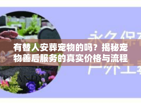 有替人安葬宠物的吗？揭秘宠物善后服务的真实价格与流程