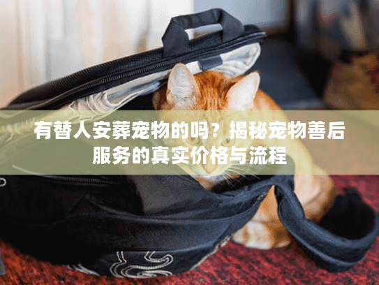 有替人安葬宠物的吗？揭秘宠物善后服务的真实价格与流程