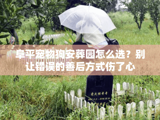 阜平宠物狗安葬园怎么选？别让错误的善后方式伤了心