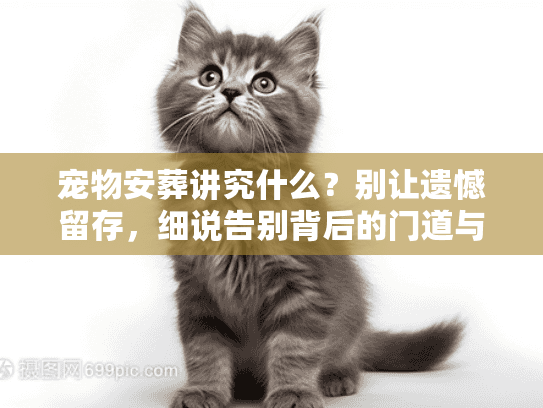 宠物安葬讲究什么？别让遗憾留存，细说告别背后的门道与流程