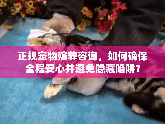 正规宠物殡葬咨询，如何确保全程安心并避免隐藏陷阱？