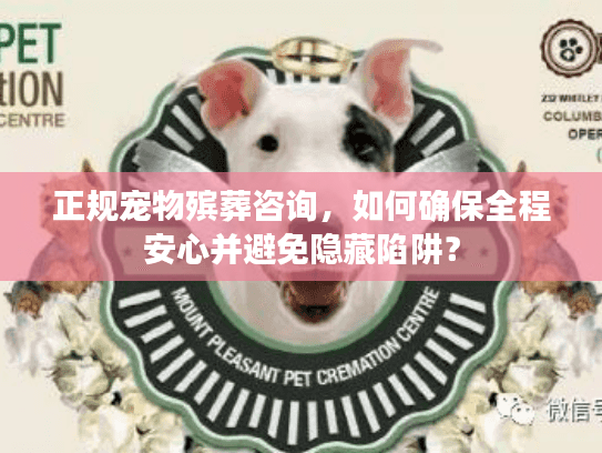 正规宠物殡葬咨询，如何确保全程安心并避免隐藏陷阱？
