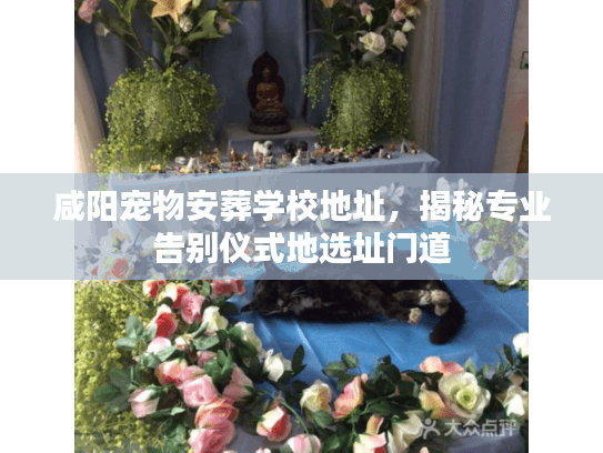 咸阳宠物安葬学校地址，揭秘专业告别仪式地选址门道