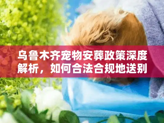 乌鲁木齐宠物安葬政策深度解析，如何合法合规地送别爱宠？