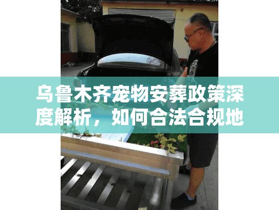 乌鲁木齐宠物安葬政策深度解析，如何合法合规地送别爱宠？