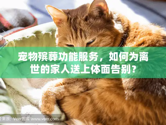 宠物殡葬功能服务,如何为离世的家人送上体面告别? 宠物殡葬功能服务,如何为离世的家人送上体面告别?