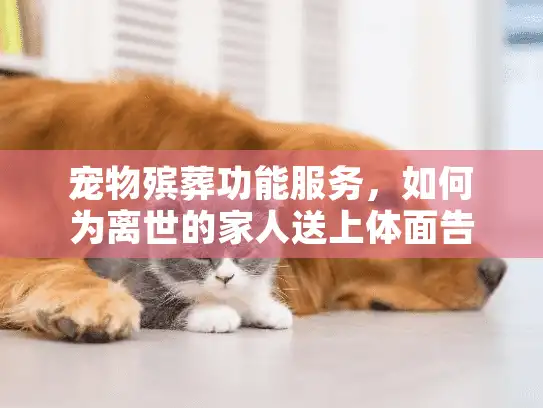 宠物殡葬功能服务,如何为离世的家人送上体面告别? 宠物殡葬功能服务,如何为离世的家人送上体面告别?