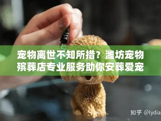 宠物离世不知所措？潍坊宠物殡葬店专业服务助你安葬爱宠