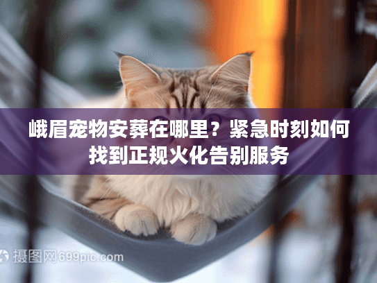 峨眉宠物安葬在哪里？紧急时刻如何找到正规火化告别服务