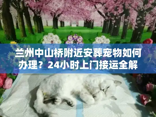 兰州中山桥附近安葬宠物如何办理？24小时上门接运全解析