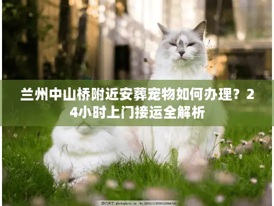 兰州中山桥附近安葬宠物如何办理？24小时上门接运全解析