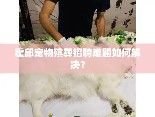 霍邱宠物殡葬招聘难题如何解决？