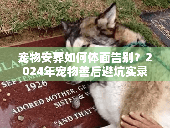 宠物安葬如何体面告别？2024年宠物善后避坑实录