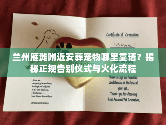 兰州雁滩附近安葬宠物哪里靠谱？揭秘正规告别仪式与火化流程