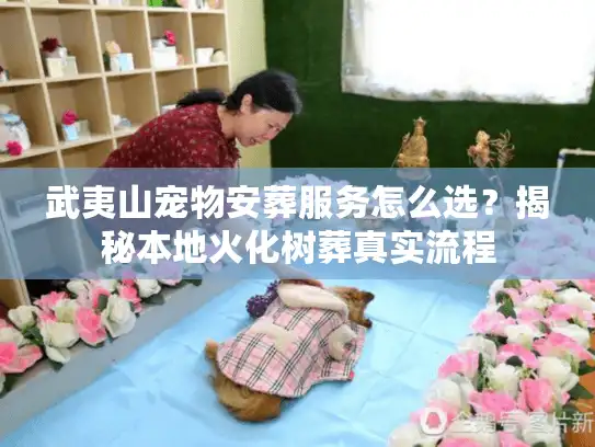 武夷山宠物安葬服务怎么选？揭秘本地火化树葬真实流程