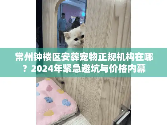 常州钟楼区安葬宠物正规机构在哪？2024年紧急避坑与价格内幕