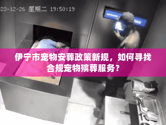 伊宁市宠物安葬政策新规，如何寻找合规宠物殡葬服务？