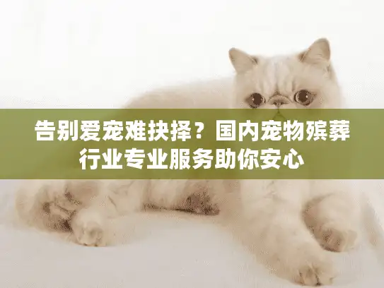 告别爱宠难抉择？国内宠物殡葬行业专业服务助你安心