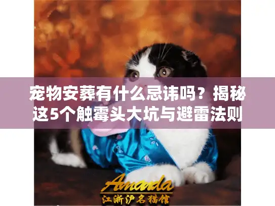 宠物安葬有什么忌讳吗?揭秘这5个触霉头大坑与避雷法则 宠物安葬有什么忌讳吗?揭秘这5个触霉头大坑与避雷法则