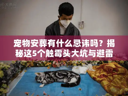 宠物安葬有什么忌讳吗?揭秘这5个触霉头大坑与避雷法则 宠物安葬有什么忌讳吗?揭秘这5个触霉头大坑与避雷法则