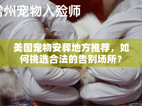 美国宠物安葬地方推荐，如何挑选合法的告别场所？