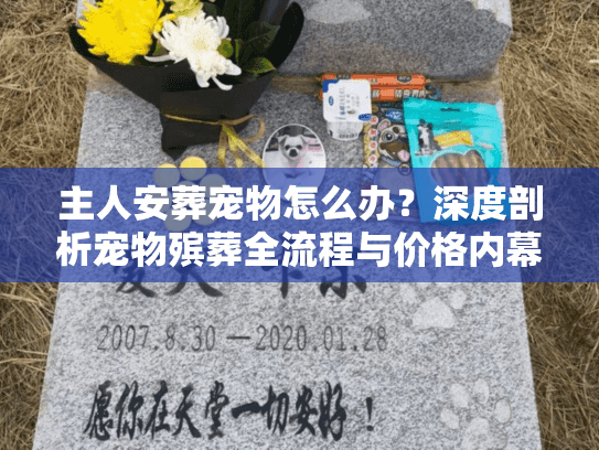 主人安葬宠物怎么办？深度剖析宠物殡葬全流程与价格内幕