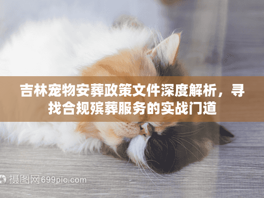 吉林宠物安葬政策文件深度解析，寻找合规殡葬服务的实战门道