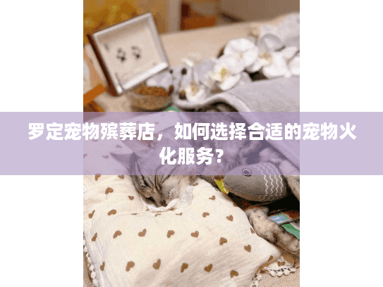 罗定宠物殡葬店，如何选择合适的宠物火化服务？