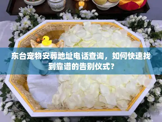 东台宠物安葬地址电话查询,如何快速找到靠谱的告别仪式? 东台宠物安葬地址电话查询,如何快速找到靠谱的告别仪式?
