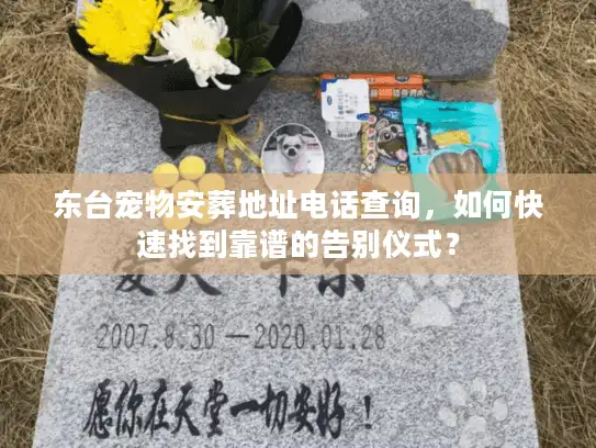 东台宠物安葬地址电话查询,如何快速找到靠谱的告别仪式? 东台宠物安葬地址电话查询,如何快速找到靠谱的告别仪式?