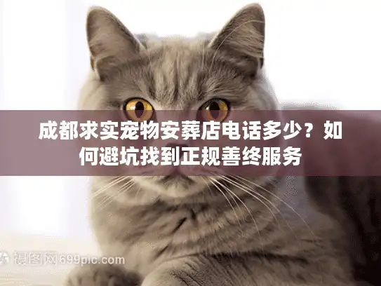 成都求实宠物安葬店电话多少?如何避坑找到正规善终服务 成都求实宠物安葬店电话多少?如何避坑找到正规善终服务
