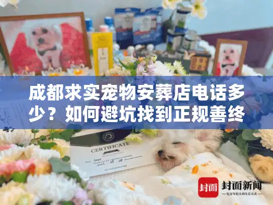 成都求实宠物安葬店电话多少?如何避坑找到正规善终服务 成都求实宠物安葬店电话多少?如何避坑找到正规善终服务