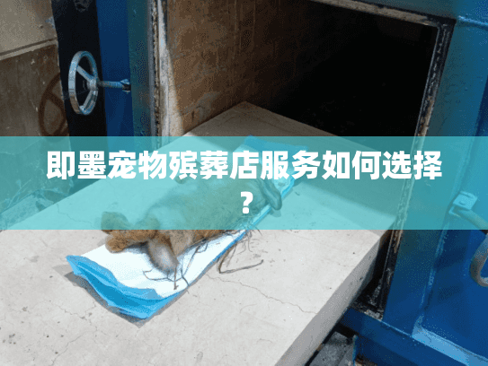 即墨宠物殡葬店服务如何选择？