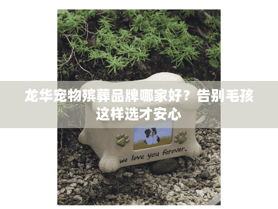 龙华宠物殡葬品牌哪家好?告别毛孩这样选才安心 龙华宠物殡葬品牌哪家好?告别毛孩这样选才安心