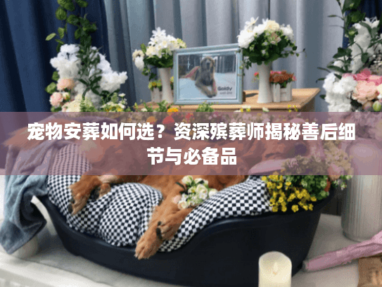宠物安葬如何选？资深殡葬师揭秘善后细节与必备品