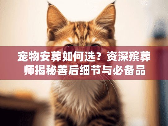 宠物安葬如何选？资深殡葬师揭秘善后细节与必备品