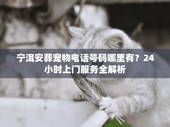 宁洱安葬宠物电话号码哪里有？24小时上门服务全解析