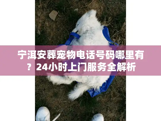 宁洱安葬宠物电话号码哪里有？24小时上门服务全解析