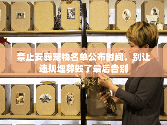 禁止安葬宠物名单公布时间，别让违规埋葬毁了最后告别