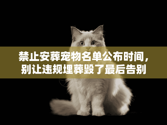 禁止安葬宠物名单公布时间，别让违规埋葬毁了最后告别