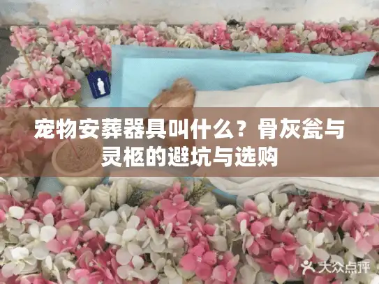 宠物安葬器具叫什么?骨灰瓮与灵柩的避坑与选购 宠物安葬器具叫什么?骨灰瓮与灵柩的避坑与选购