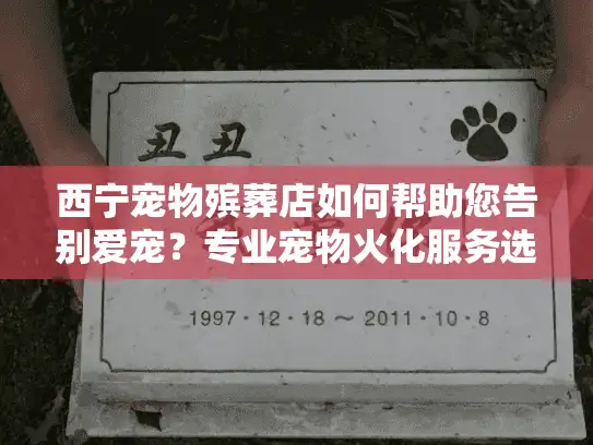 西宁宠物殡葬店如何帮助您告别爱宠？专业宠物火化服务选择指南
