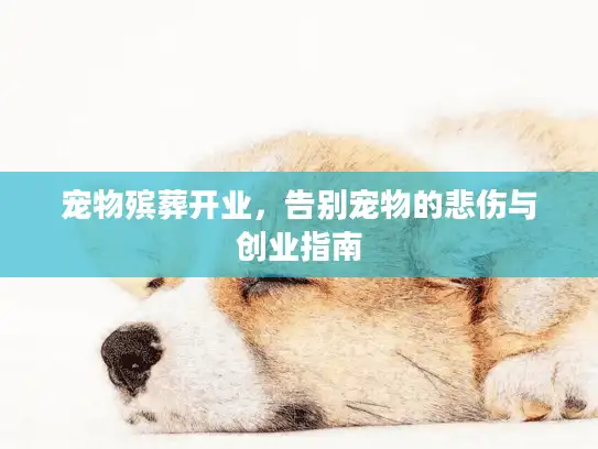 宠物殡葬开业,告别宠物的悲伤与创业指南 宠物殡葬开业,告别宠物的悲伤与创业指南