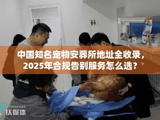 中国知名宠物安葬所地址全收录,2025年合规告别服务怎么选? 中国知名宠物安葬所地址全收录,2025年合规告别服务怎么选?