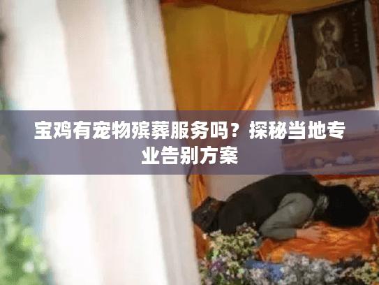 宝鸡有宠物殡葬服务吗？探秘当地专业告别方案