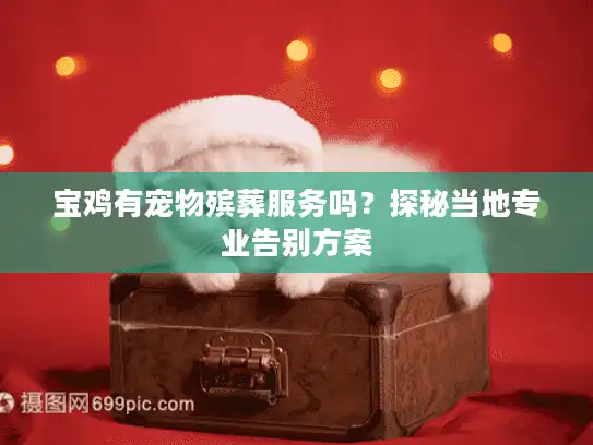 宝鸡有宠物殡葬服务吗？探秘当地专业告别方案