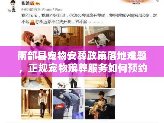 南部县宠物安葬政策落地难题,正规宠物殡葬服务如何预约? 南部县宠物安葬政策落地难题,正规宠物殡葬服务如何预约?