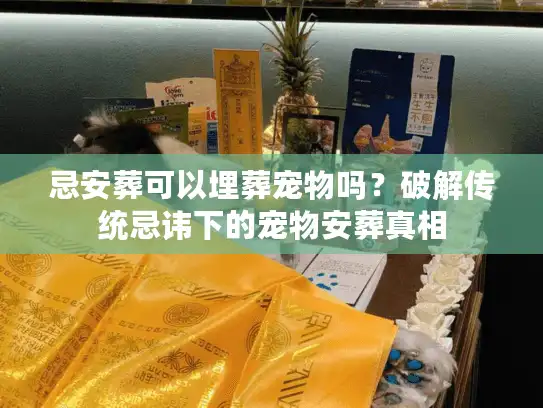忌安葬可以埋葬宠物吗？破解传统忌讳下的宠物安葬真相